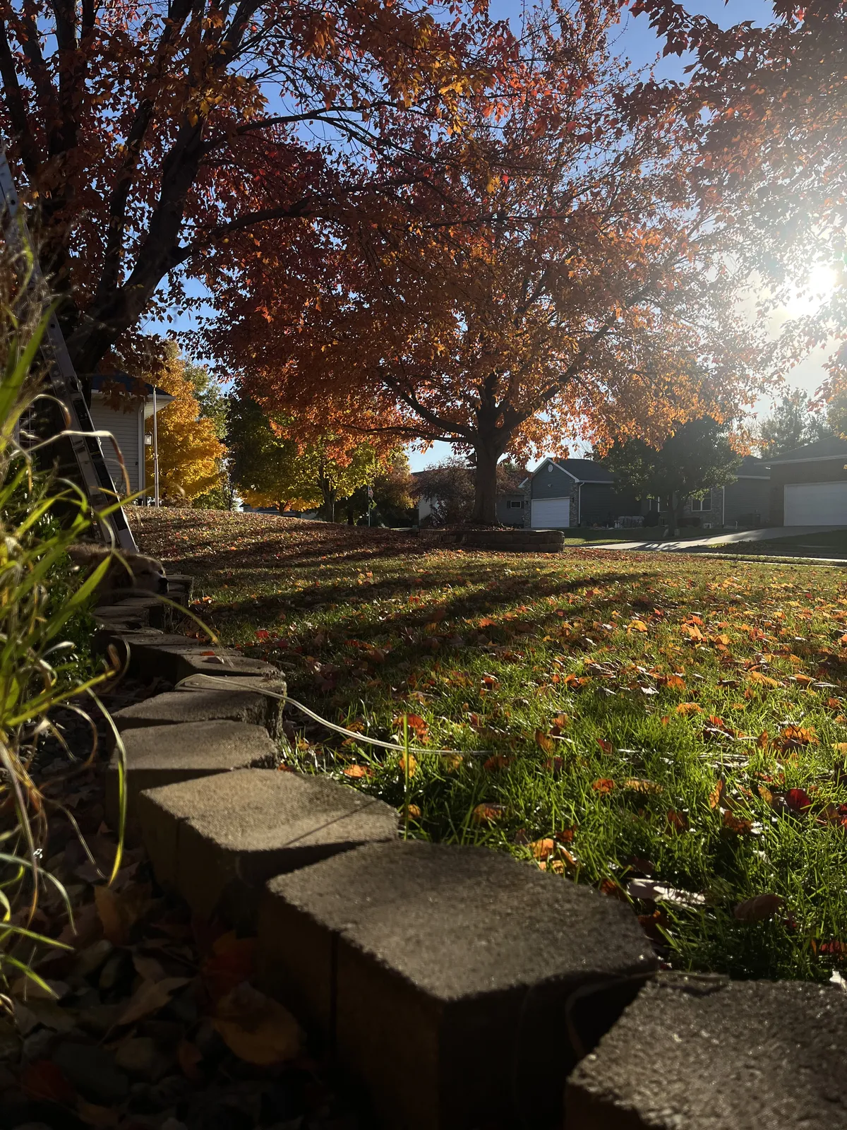 Maintained residential garden and planting beds in North Liberty, Iowa