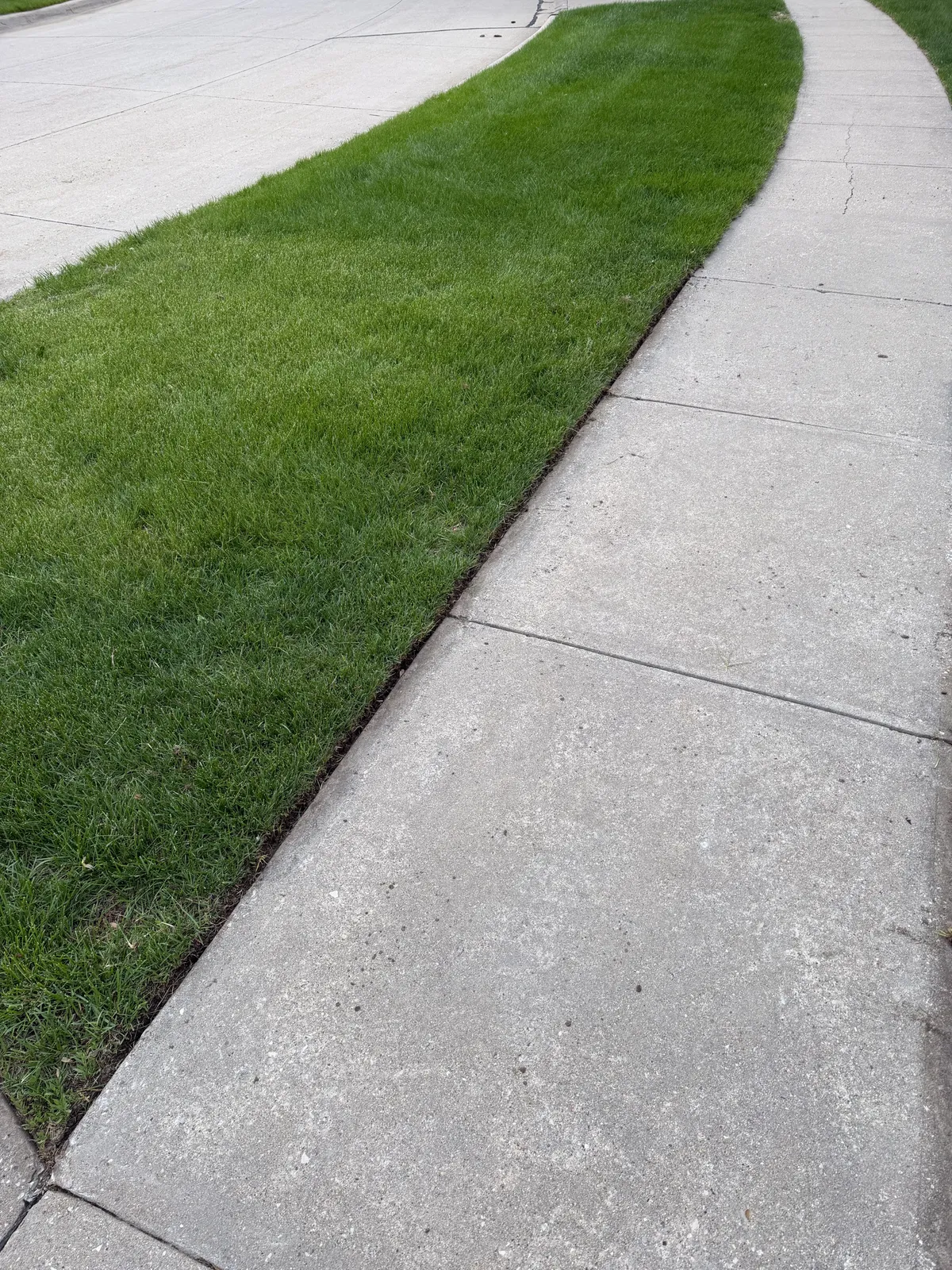 Edge trimming along a residential walkway in Iowa City, Iowa