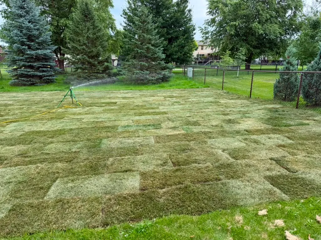 Completed full-yard sod installation in North Liberty, Iowa