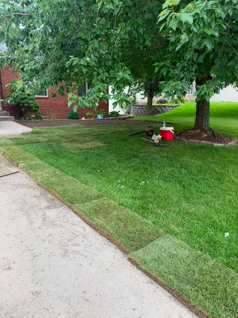 New sod front lawn along a driveway in North Liberty, Iowa