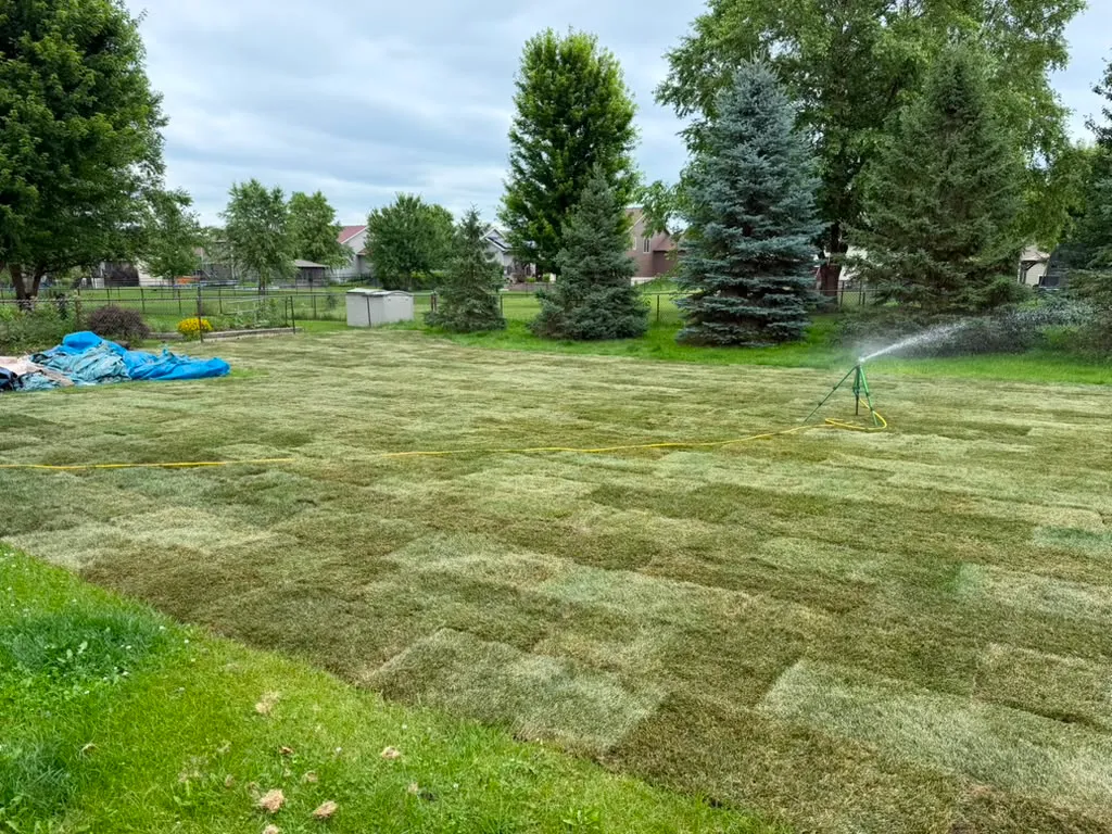 Lush new backyard sod lawn being watered in North Liberty, Iowa