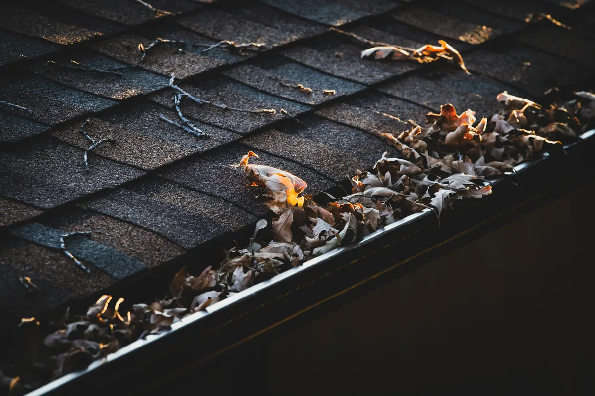 Seasonal gutter cleaning service in Marion, Iowa
