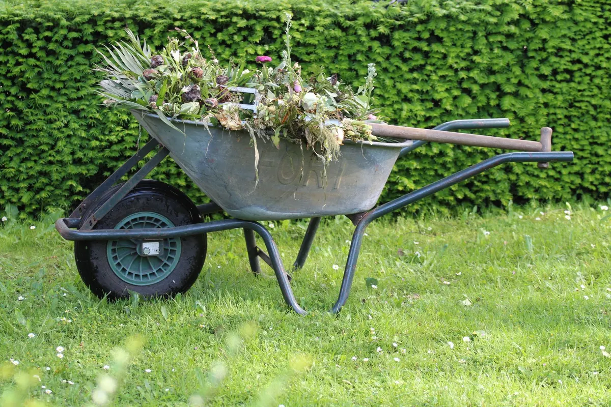 Spring yard cleanup service in Cedar Rapids, Iowa