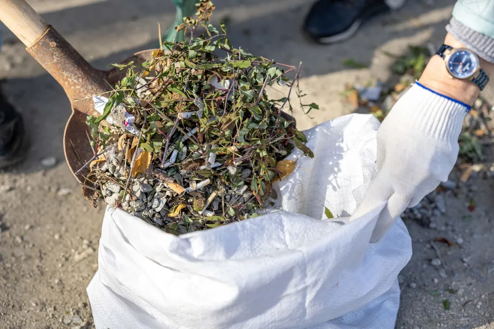Spring yard cleanup and property prep in Iowa City, Iowa