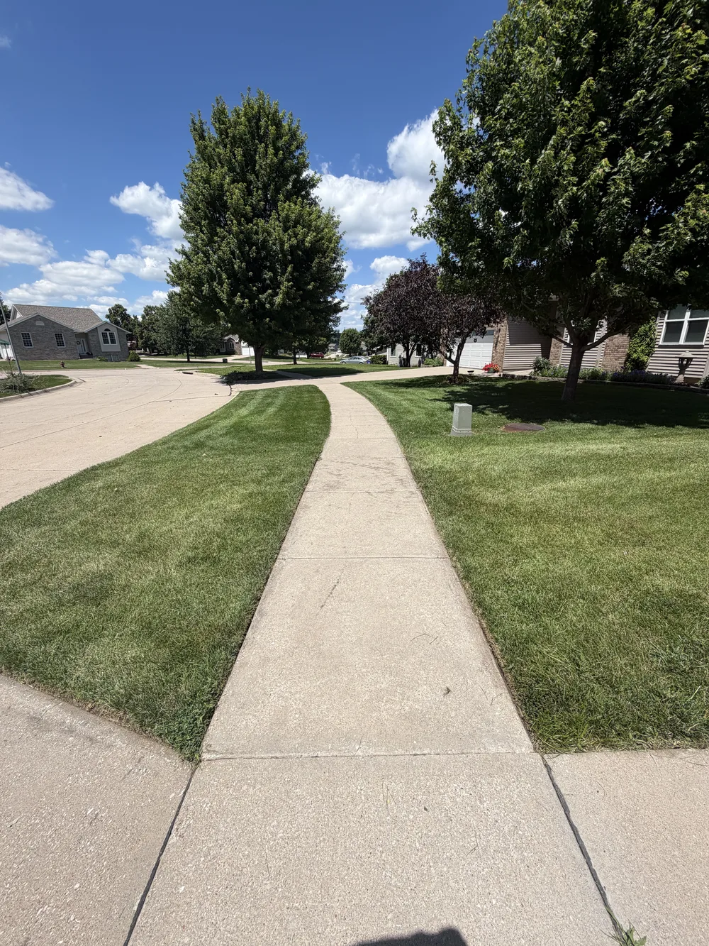 Sidewalk edge trimming on a residential property in Iowa City, Iowa